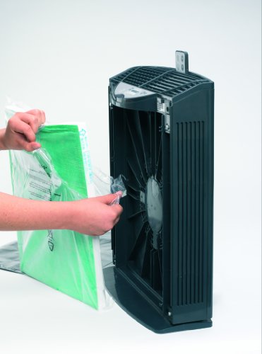 Boneco P2261 - Purificador de aire