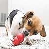 KONG Classic Stuffable Dog Toy - Fetch & Chew Toy for Dogs - Treat-Filling Capabilities & Erratic Bounce for Extended Play Time - Durable Natural Rubber Material - for Extra Small Dogs #1