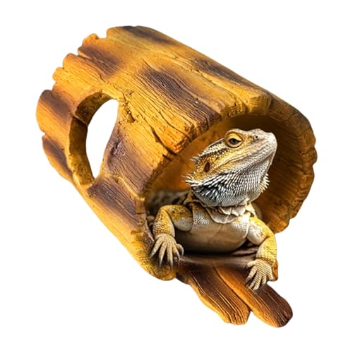 Grotte pour reptile contre l'humidité pour araignées et petits crabes