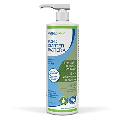 Aquascape Pond Starter Bacteria Water Treatment 16 oz.