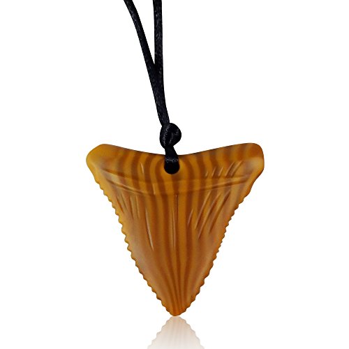 amber necklace for autism