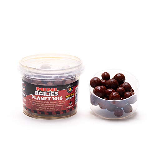Mini boilies affondanti da innesco multispezie