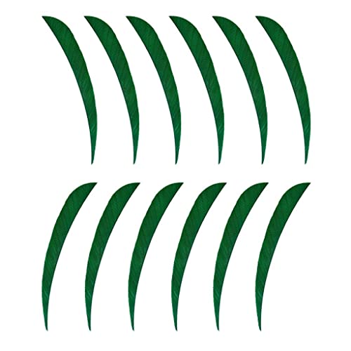 12{ 3In A[`F[̖ ʒ̉H HH _[NO[, ZΐF