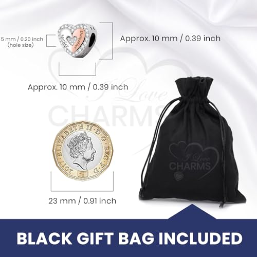 Abalorio de plata de ley 925 ideal para regalo del Día de la Madre 7