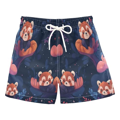 Jucciaco Boys Swim Trunk Quick Dry Beach Board Shorts Raccoon Red Bear Panda Swimwear for Kids