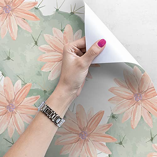 Papier peint fleurs de cactus Coloray : cachez vos murs ternes