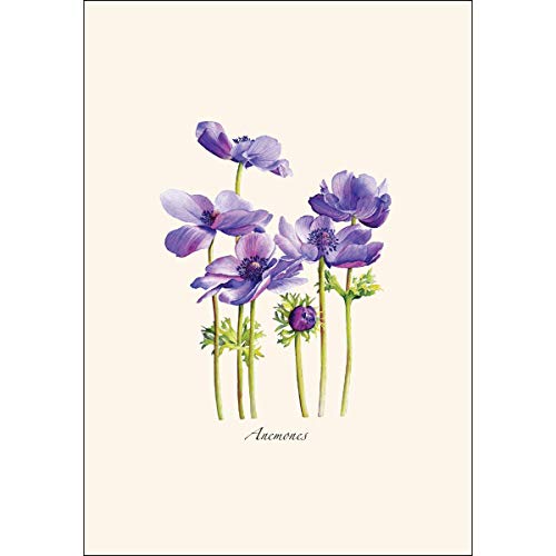 Image of Earth Sky + Water - Anemones Notecard Set - 8 Blank Cards with Envelopes