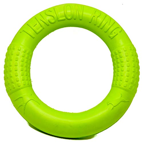 PROtastic Juguete flotante para perros – Juego de agua, juguete de remolcador, frisbee. 6 pulgadas perfecto para perros pequeños a medianos.
