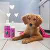 earthbath, Ultra-Mild Wild Cherry Puppy Shampoo & Spritz - Cruelty Free Dog Shampoo and Conditioner, Made in USA, Tearless & Extra Gentle Dog Wash, Best Puppy Shampoo & Puppy Supplies - (1 Set)