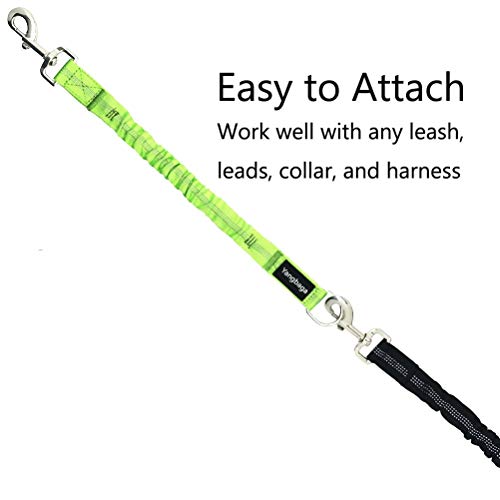 Yangbaga Ruckdämpfer,hundefreundliche Leine, elastische Hunde Leine mit Zugdämpfung, Nylon-Kurzleine Perfekte Dämpfung beim Fahrrad für Hunde ab Kleiner Größe Grün (2 * 26cm)