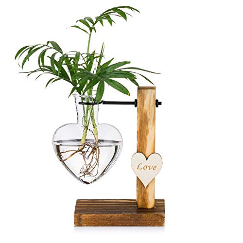 Vaso Di Gemme Di Vetro Con Supporto In Legno, Vasi Idroponici Creativi A Cuore Singolo In Vetro, Vaso Moderno Con Lampadina Per Fioriera Da Tavolo Con Stazione Di Propagazione Per Piante Moderne