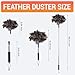 Feather Duster for Electronics Fragile Items, Soft Ostrich Feathers Dusting Tool for Keyboard, Screen, Office and Home Cleaning, Black Handle(A12-Black)