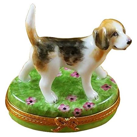 beagle items
