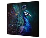 Peacock Frathers Oil Paintings Wall Decor Colorful Peacoco Tail Feathers Wall Art for Living Room Bedroom Bathroom Home Decorations Feathers Framed Artwork Prints Ready to Hang(12''H x 12''W)
