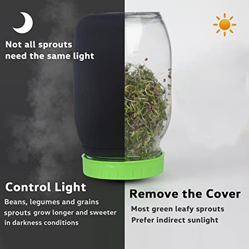 Seed Sprouting Jar Kit with Wide Mouth Mason Jars, Premium Stainless Steel Screen Sprout Lids, Blackout Sleeves, Tray and Sprouter Stand - Growing Broccoli, Alfalfa, Mung Beans and More - Image 3
