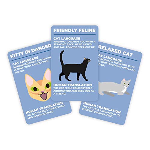 Gift Republic How To Speak Cat 100 Cards Fun Gift for Cat Lovers Learn What Your Kitten is Saying Cat Behaviour Guidance Cards Kitty Feline Language