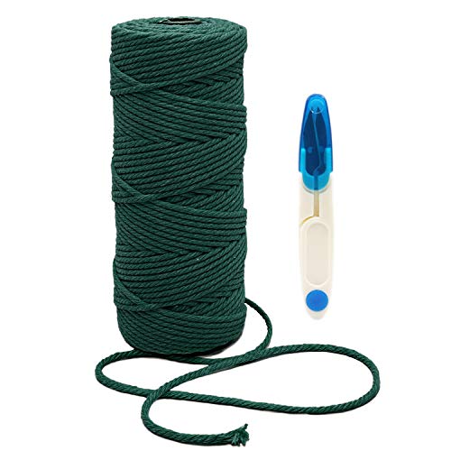 Auspicious Beginning Fil de macramé de 3 mm Fil de coton macramé Cordon 100 % naturel pour bricolage artisanat bricolage support mural