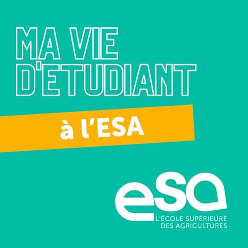 Vis ma vie en &eacute;cole d'ing&eacute;nieur | &eacute;pisode 1