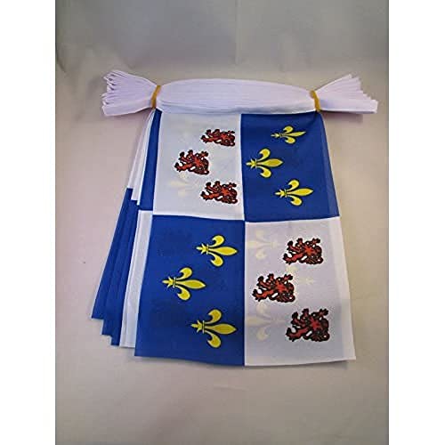 Image of AZ FLAG Picardy 6 meters BUNTING Flag 20 flags 9'' x 6'' - French region of Picardie STRING flags 15 x 21 cm