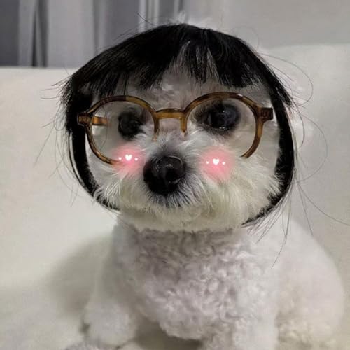 犬 かつら 犬被り物 前髪 かつら ペットウィッグ かわいい 面白い ペットコスプレ ウィッグ 変装グッズ 誕生日 パーティー 仮装グッズ 撮影 道具 着脱簡単