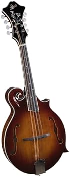 Amazon.com: Rover RM-85 Deluxe F-model Mandolin – Burgundy Burst