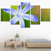 SIGNWIN 5 Panel Canvas Wall Art Blue Fields for Home Decorations Ready to Hang - 60