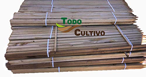 Todo Cultivo Tutor de Madera de Pino tratado de 40x40 mm. 170cms de Altura. 4 Unidades. Destinado para arboles de Crecimiento vigoroso.