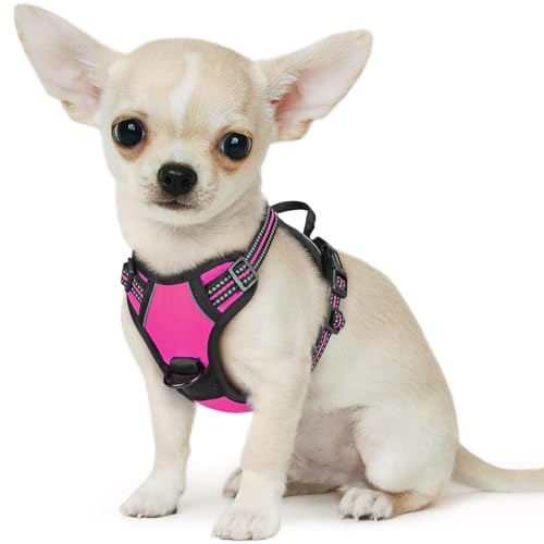 Image of Eagloo Dog Harness for Small Dogs, No Pull Pet Vest with 2 Leash Clips