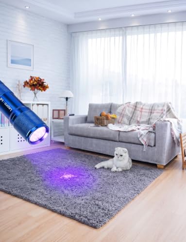 Image of Lepro 365nm UV Flashlight, Small Portable Black Light Detector for Invisible Ink Pens, Dog Cat Pet Urine Stain, AAA Batteries Included, 2 Pack