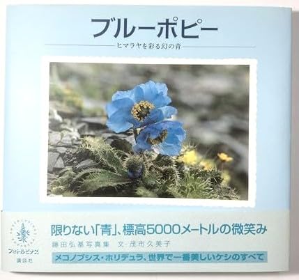 Amazon.co.jp: ブルーポピー: ヒマラヤを彩る幻の青 藤田弘基写真集