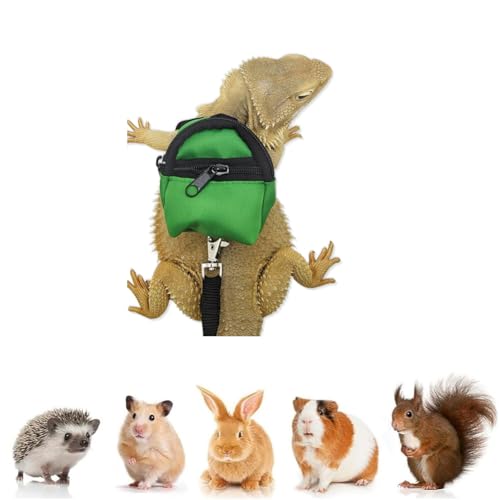 Image of Bearded Dragons Harness Leashes Set Cute Backpack Back to School Design for Small Pets Reptile Lizard Crested Gecko Chameleon Rat Hamster Squrriel Ferret Photo Shoot (Green)
