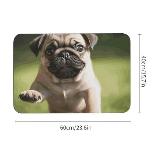 Tapis absorbant imprimé 60x40 cm antidérapant pour intérieur - 4