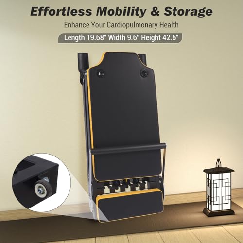 Pilates Reformer,Foldable Pilates Machine & Equipment for Home Use and Gym Workout, Suitable for Advanced and Beginners Users, Up to 250 Lbs Weight Capacity