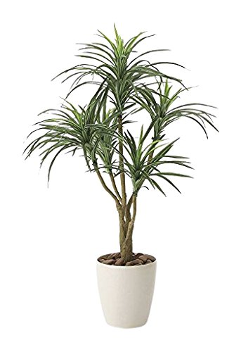 Amazon｜光触媒 人工観葉植物 光の楽園 ユッカ90 622A140｜人工観葉