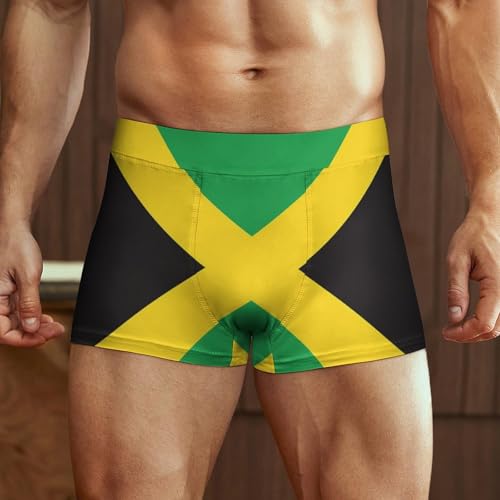 Jamaican Flag Jamaica Men's Boxer Briefs Stretch Waistband Breathable Underwear2