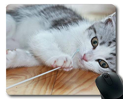 Preisvergleich Produktbild Mausunterlage, Kätzchen-Haustierkatzen-Mausunterlage, Mausunterlage für Computer cat111