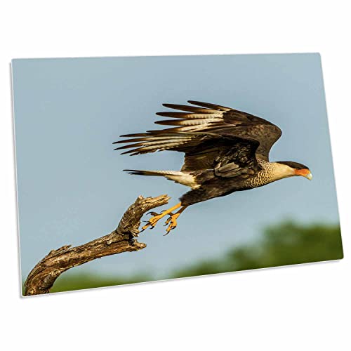 3dRose Desk Pad Place Mats 23x16 pulgadas