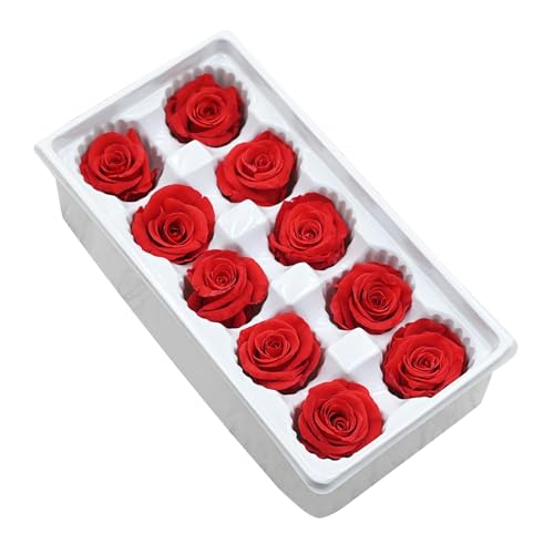 10 cabezas de flores de rosa secas eternas