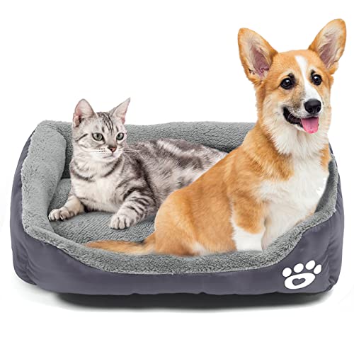 Amazon.ca Most Wished For Items customers added to Wish Lists and