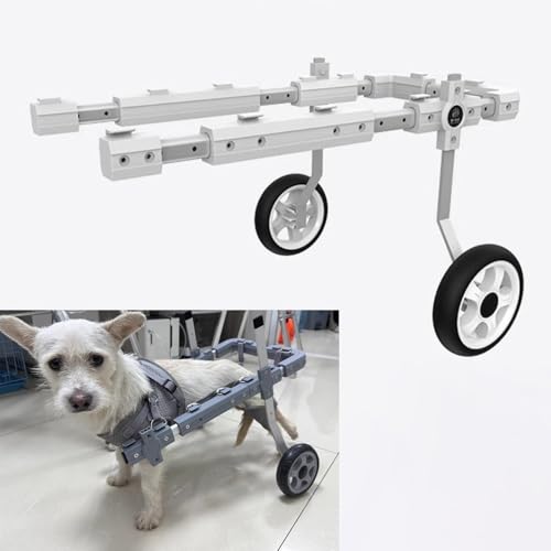 Silla de ruedas para perros ligera y ajustable de dos ruedas para rehabilitación de mascotas