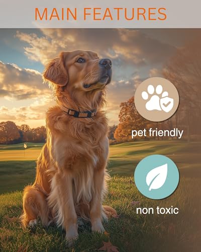 Image of Golden Retriever - Dog Car Air Freshener - Cute Hanging Dog With Flowers Decor Black Ice Scent, Infusible with Your Own Scent, Pet Safe, Non-Toxic, Freshener for Car, Closet, Office Size - 3x4 inch