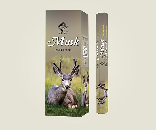 Vriya Incense Sticks Hexa 6 X 20 (Musk)