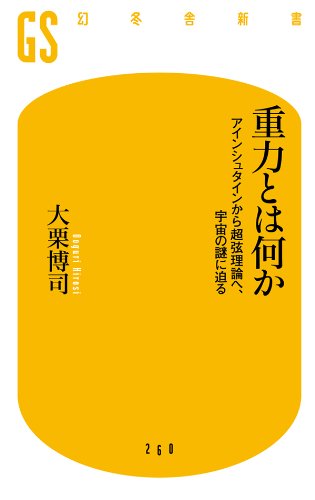 重力とは何か　アインシュタインから超弦理論へ、宇宙の謎に迫る (幻冬舎新書)