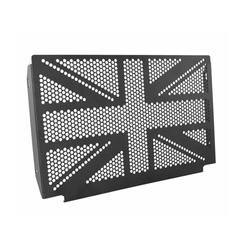 Motorrad kühlerschutzgitter Kühlerschutzabdeckung Für Triumph Trident 660 (2021–2023)(Without Logo)