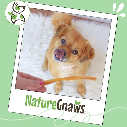 Image of Nature Gnaws Super Skinny Bully Sticks for Small Dogs 5-6 inch (15 Count) - Long Lasting for Light Chewers and Puppies - Extra Thin Natural Beef Dog Chew Treats