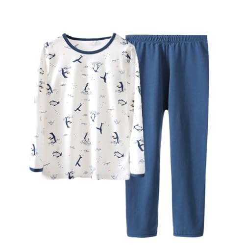 [Cicilin] pW}Zbg j̎q {[CY K[Y ̎q [EFA  EY{  WjA 100% zCg 150cm