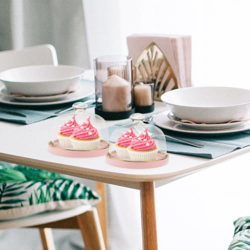 Conservation alimentaire sans insectes grâce au couvercle à gâteau