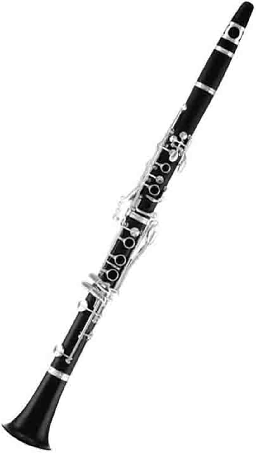 Professional Musical Instrument Beginner Clarinet Ebony B Flat Performance Clarinet Instrument