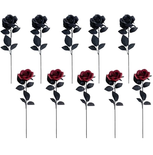 DIFEIUKI o  10{Zbg  ԑ KN [Y nEB ͂Ȃ Í VNt[ nEB p[eB[ z[ EFfBO e[ufR[V Bep  Gߏ Be S36cm/{