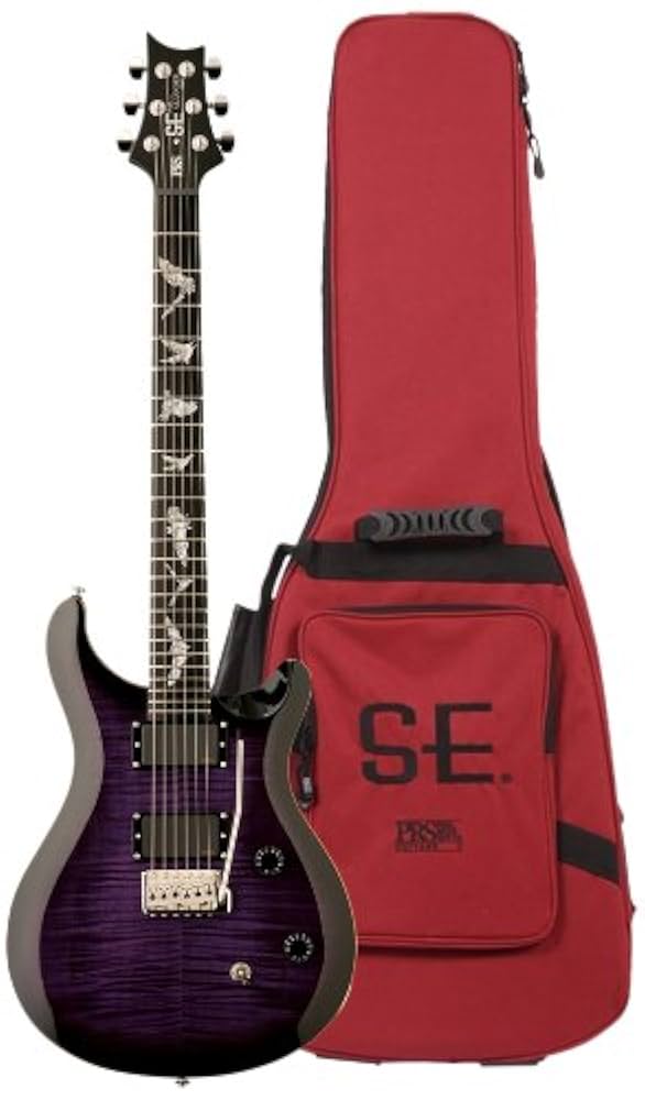 ギター Paul Reed Smith PRS SE Paul Allender EMG PRS SE Paul Allender Electric Guitar Purple Burst | Guitar